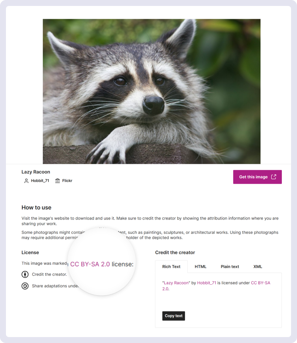 Источник: https://search.creativecommons.org/ 